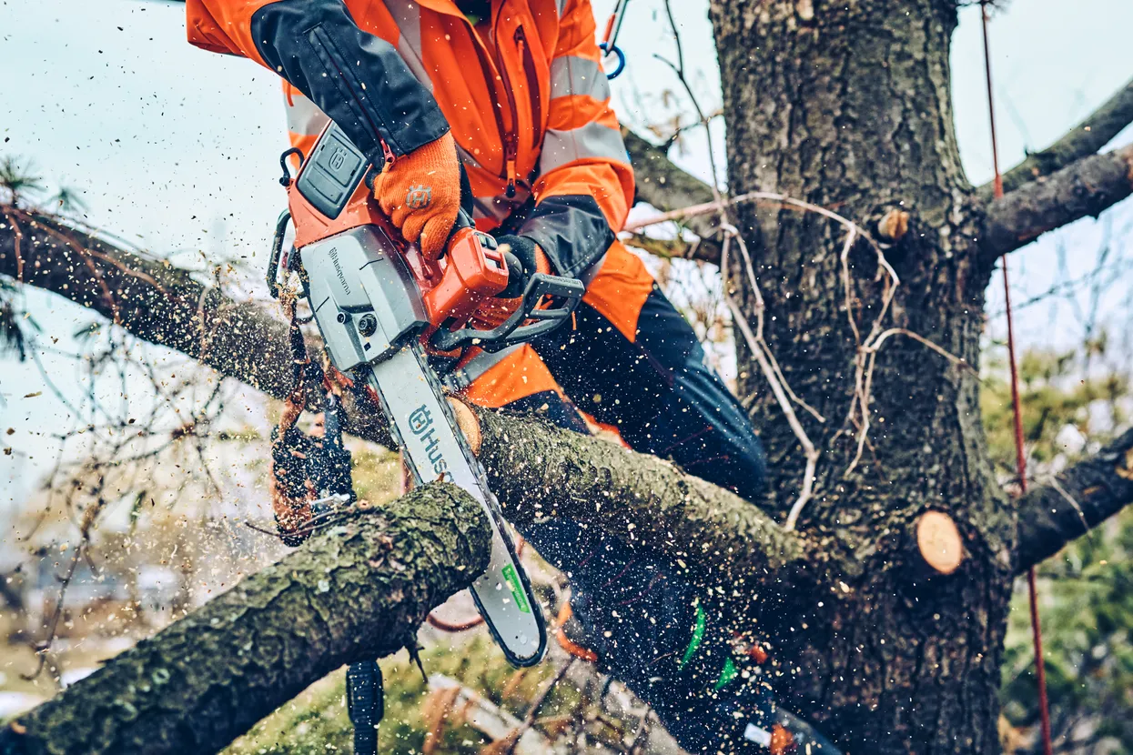 Husqvarna T542i XP® (battery and charger included)