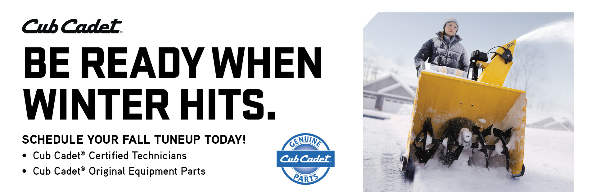 Cub Cadet snowblower website banner